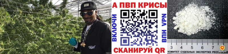 A-PVP СК Приозерск