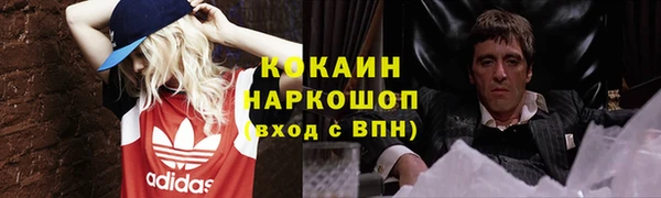 apvp Новозыбков